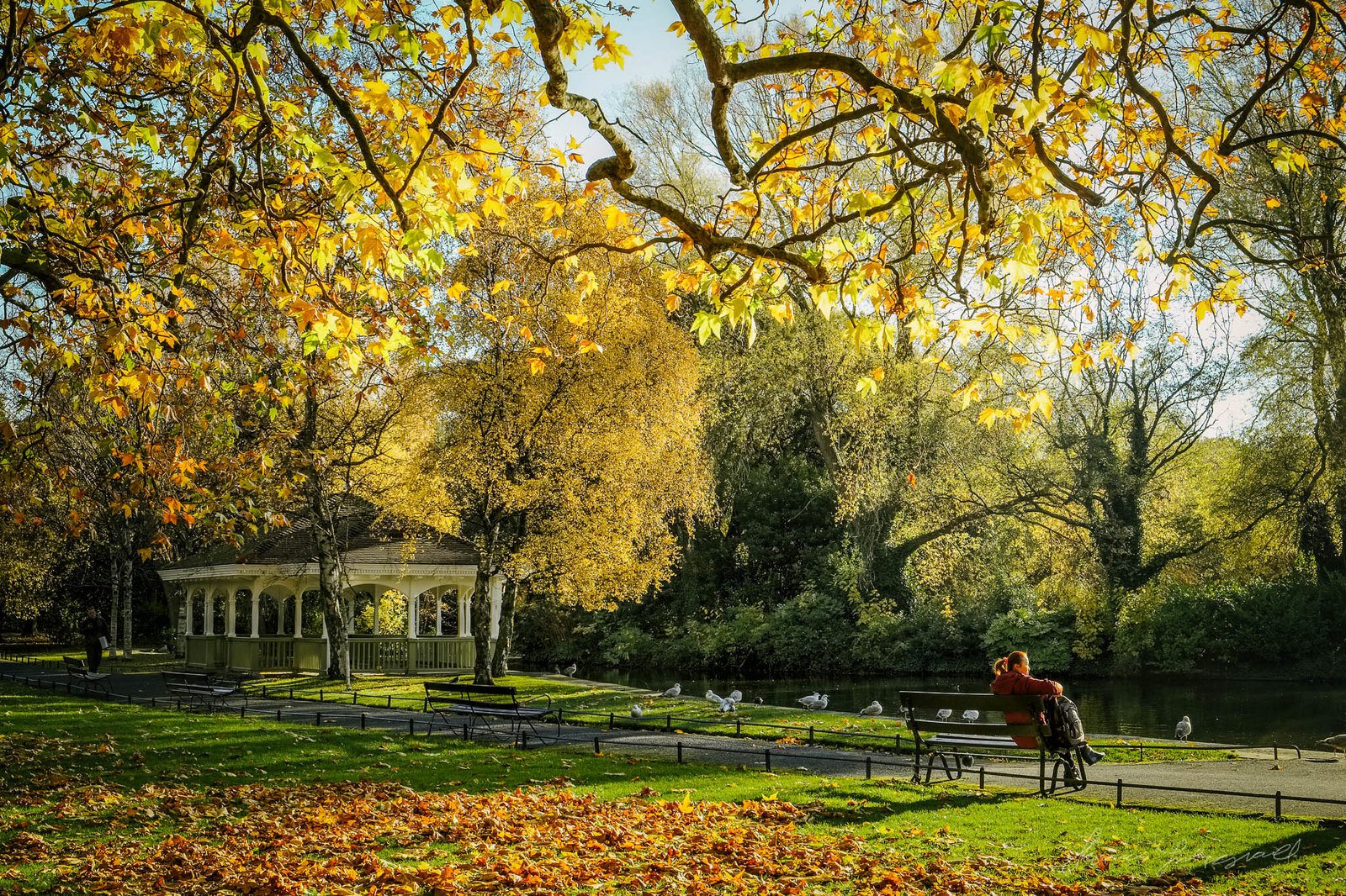 St. Stephen's Green in Autumn